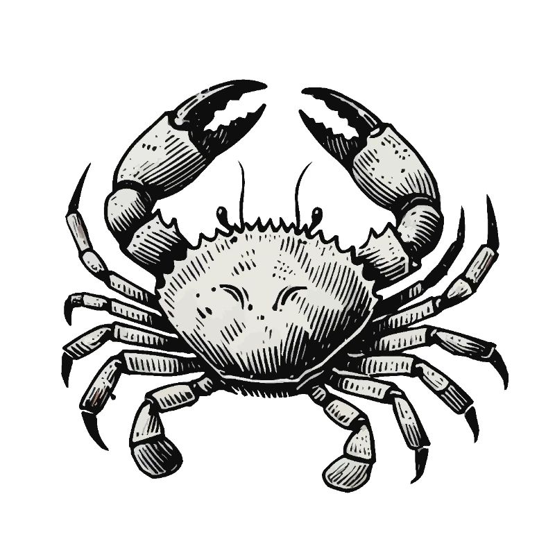 krebs krabbe