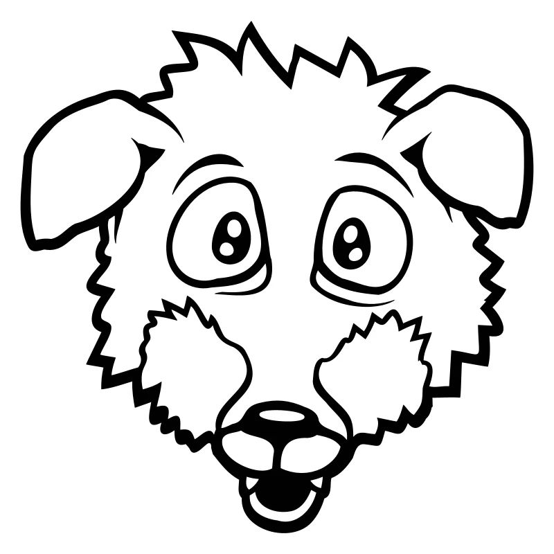 Fox Big Eyes Scared Happy Fear Cool