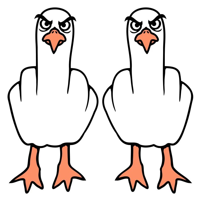 2 Möwen Mittelfinger Beleidigung Stinkefinger Team