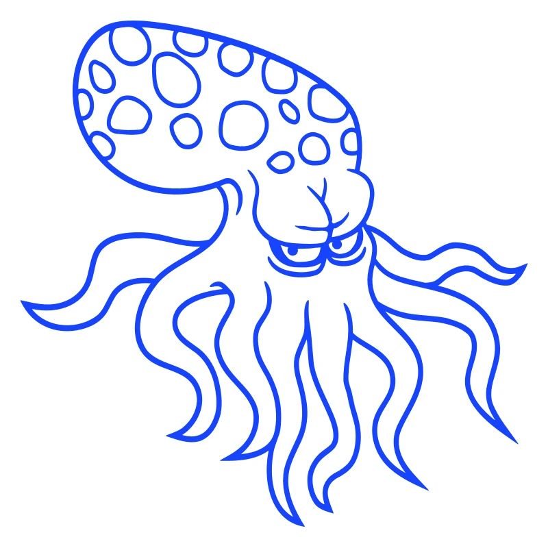 Octopus Octopus Octopus Squid Cephalopod Evil Eye