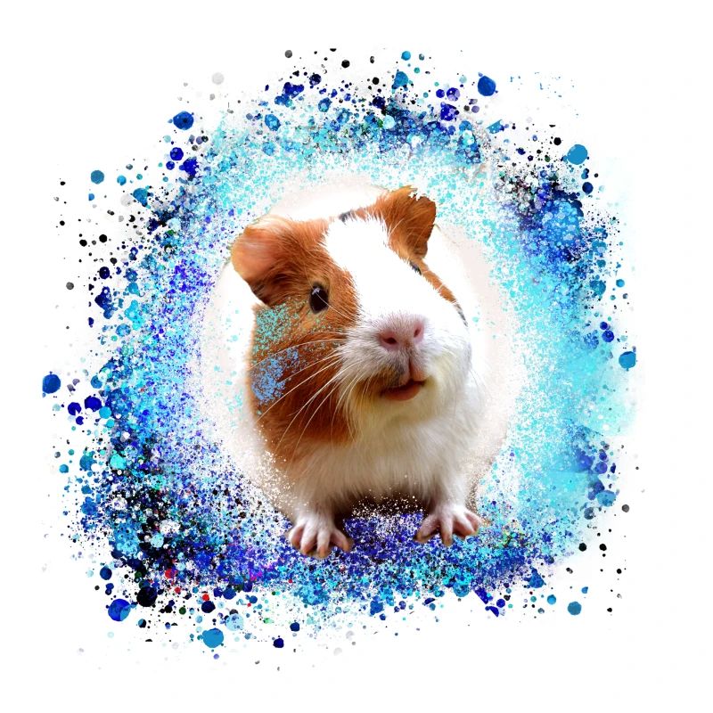 cobaye, graffiti,peinture,vert,bleu