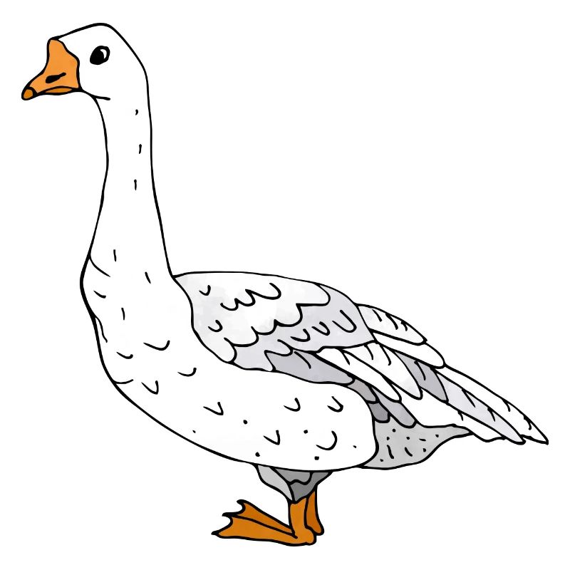Gans