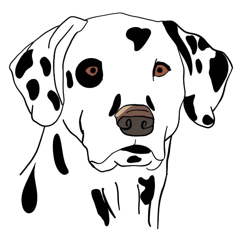 Dalmatiner