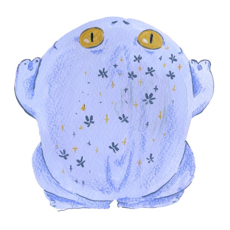 Frog toad in pastel