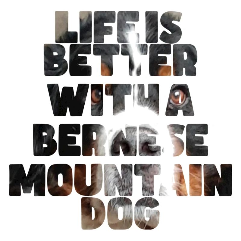 Berner Sennenhund