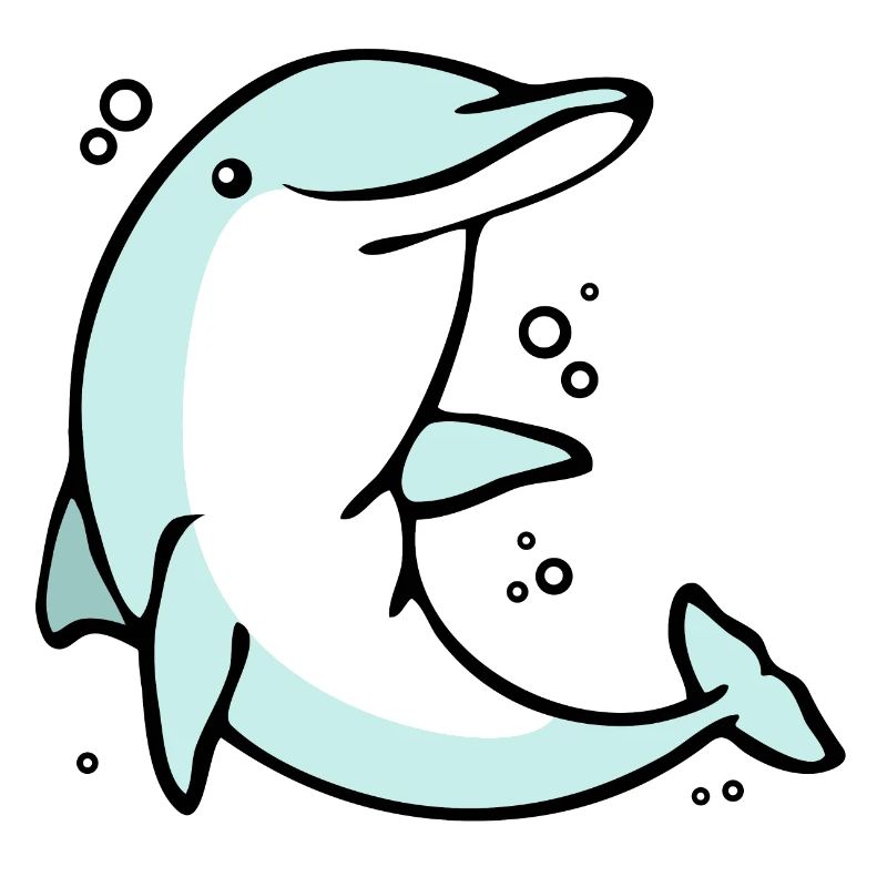 drolliger Delphin Schulanfang Delphinschule