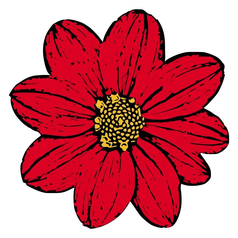 Blume rot rote Blume Blumen Geschenk