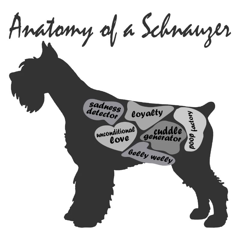 Anatomie de SCNAUZER