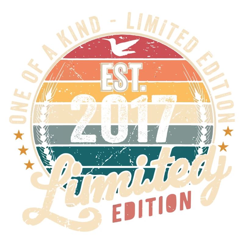 Birthday Gift 2017 Vintage 2017 Retro 2017