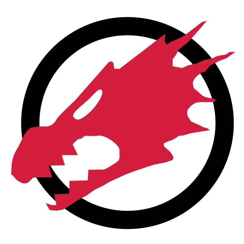 Dragons de Feu