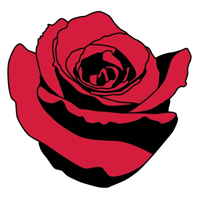 rose