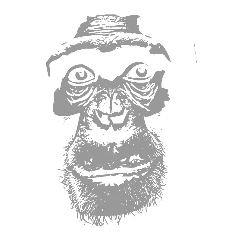 Schimpanse - Chimpanzee - Monkey