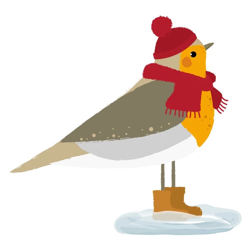 Rotkehlchen Winter/Robin Winter