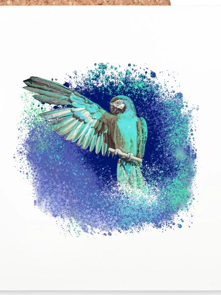 sittich ara,,vogel,graffiti,mint,blau,brush,spray