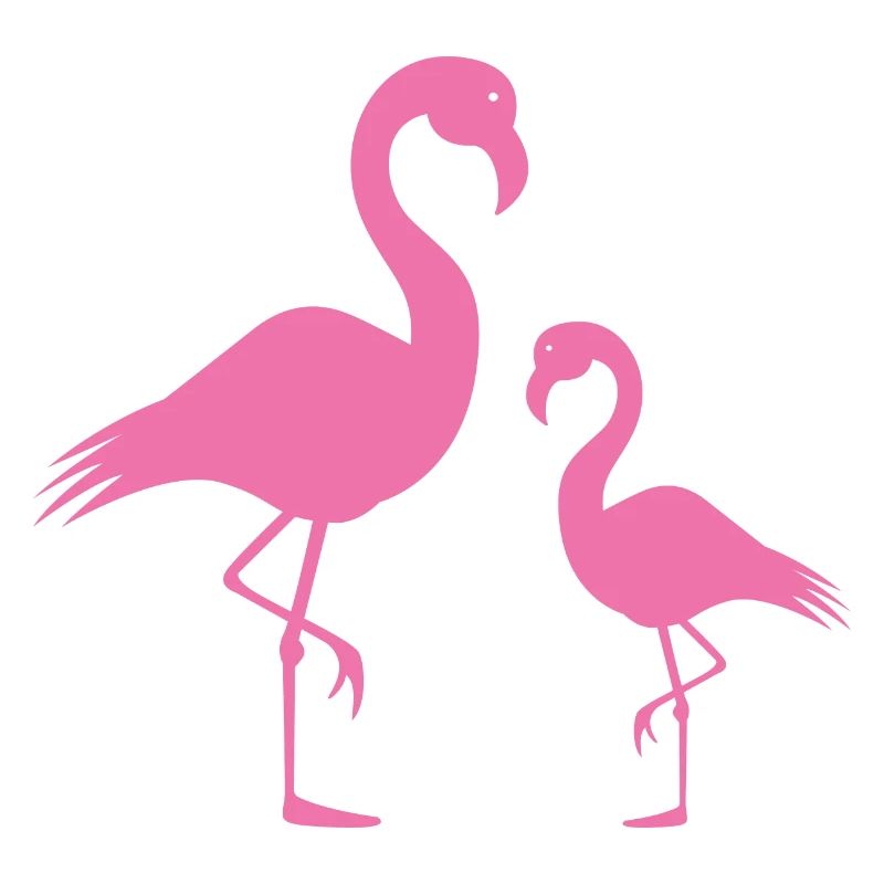 Flamingos