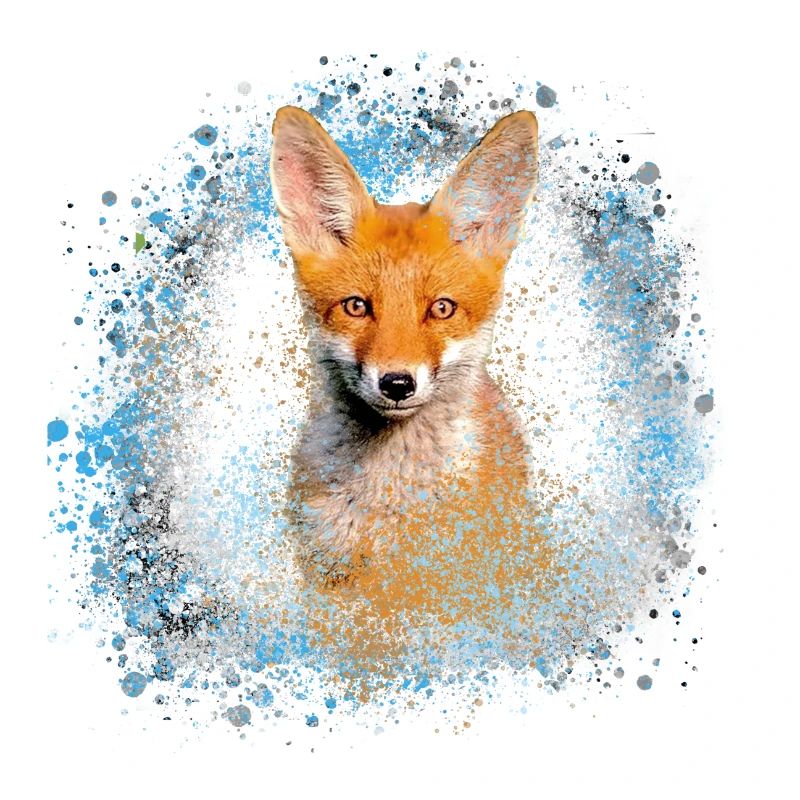 fuchs ,Graffiti, Malerei,fuchs ,aquarell,babyfuchs