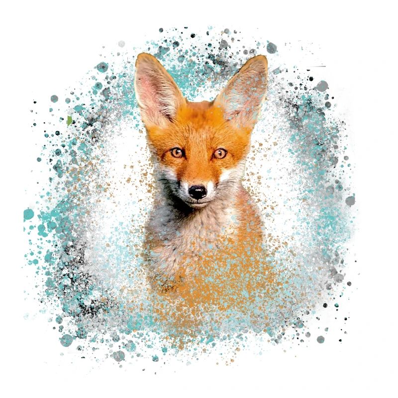 fuchs ,Graffiti, Malerei,fuchs ,aquarell