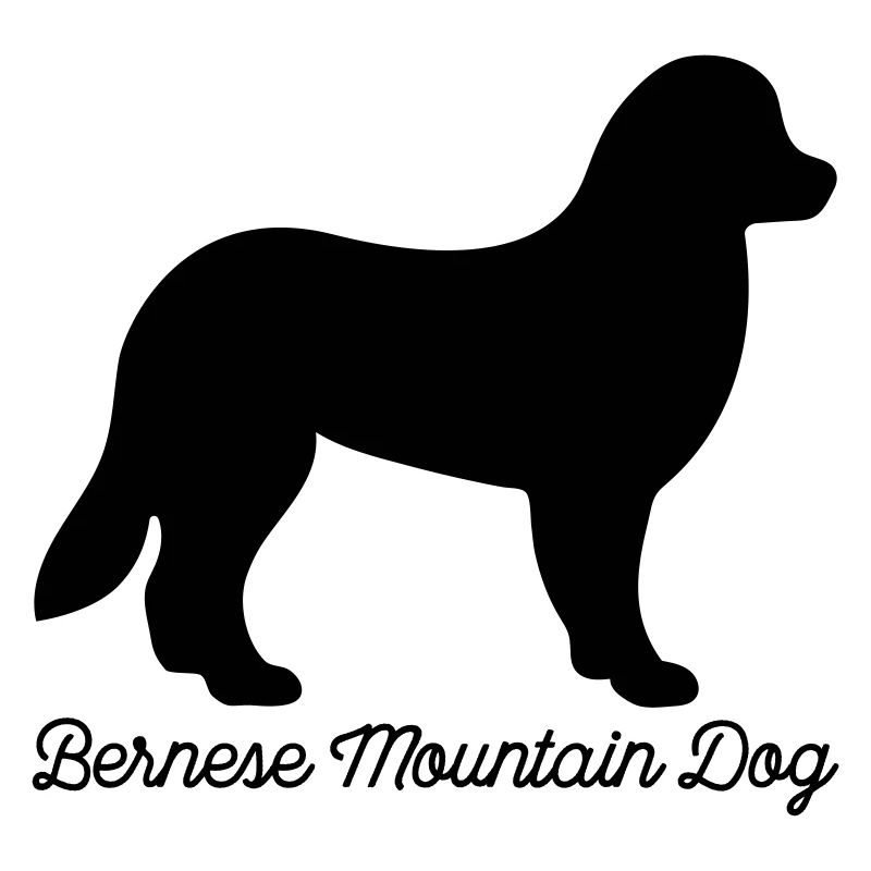 Berner Sennenhund