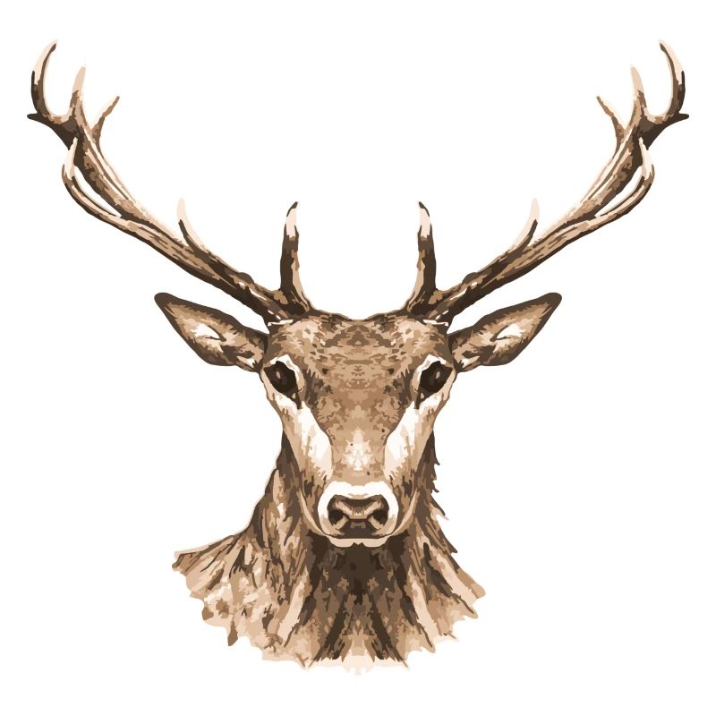 Hirsch