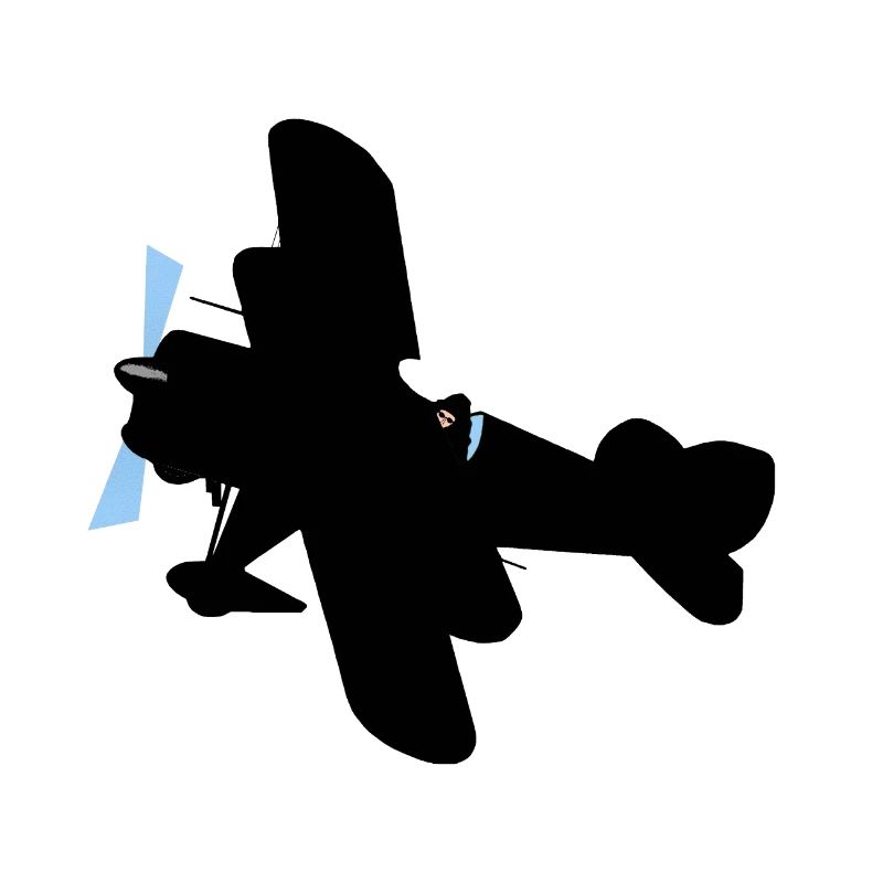 Flugzeug