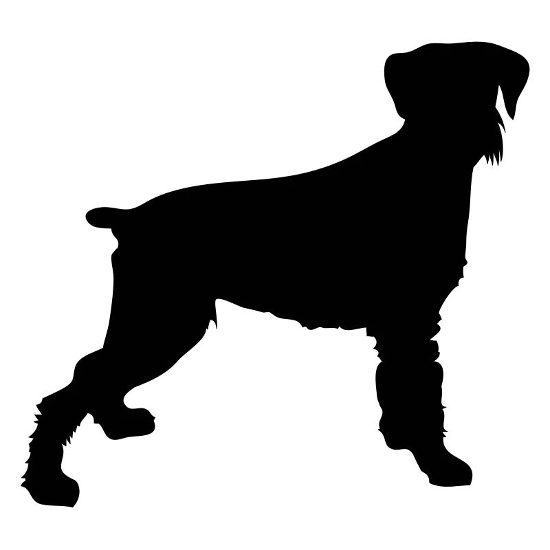 süsser hund
