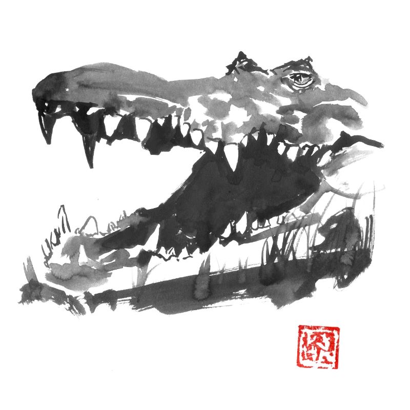 Krokodil