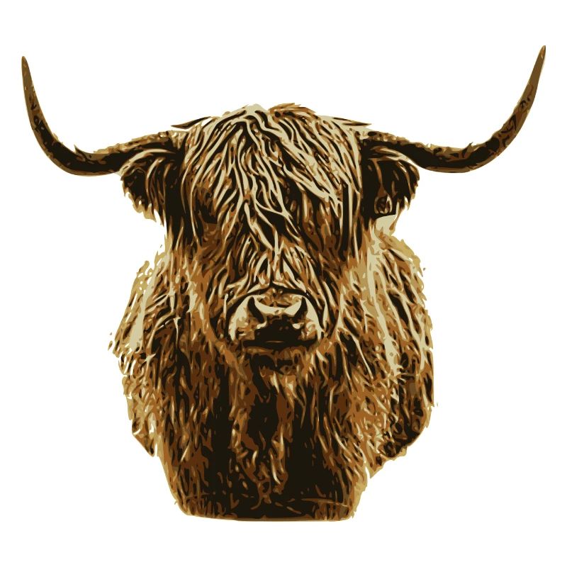 Scottish Highlander