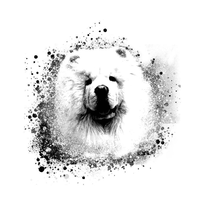 Chow Chow, Hund, samojede, malerei, graffiti