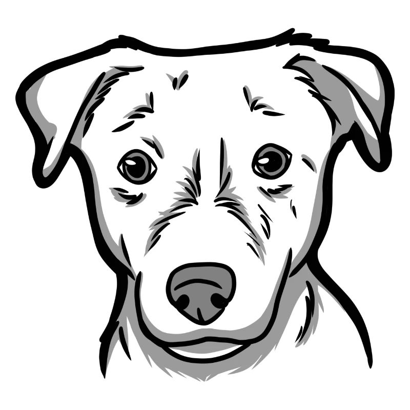 JackRussel