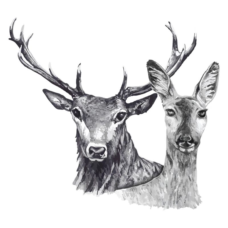 Hirsch und Reh