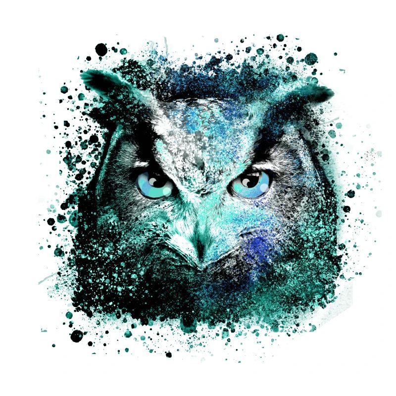 eule,graffiti,malerei,schwarz,blau