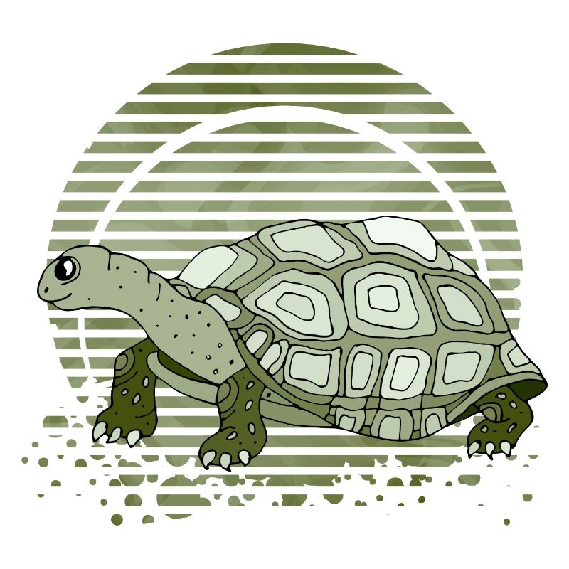 Schildkröte