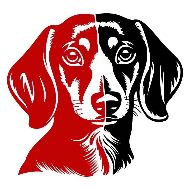 Teckel tête de chien teckel