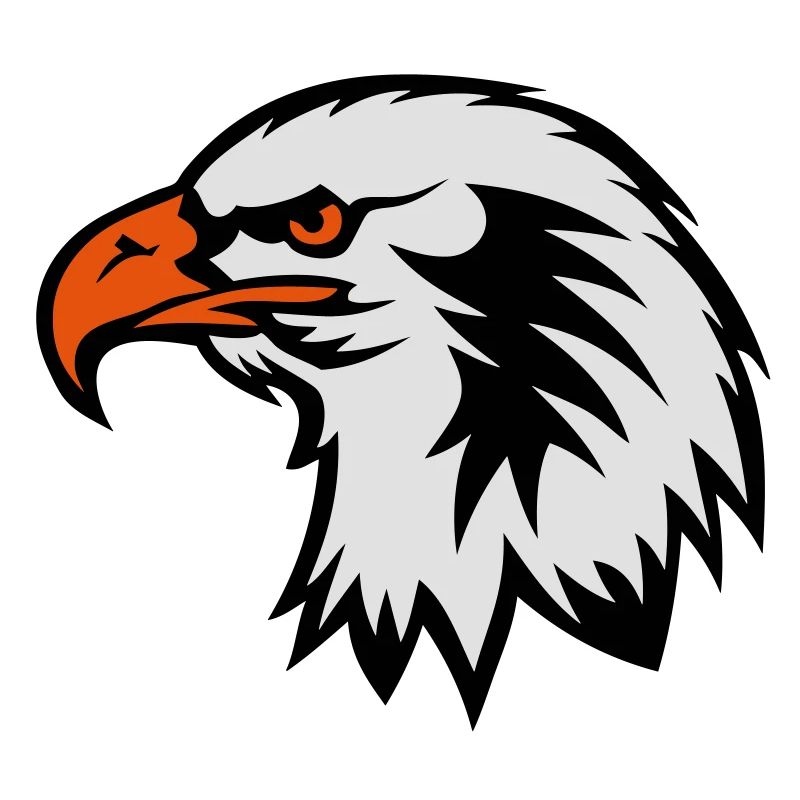 eagle head eagle drawing cartoon face 702