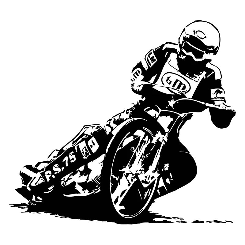 Speedway Driver