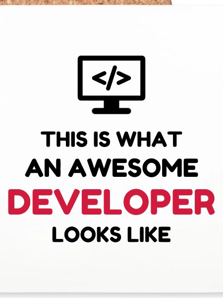 Entwickler / Informatiker / Programmierer /