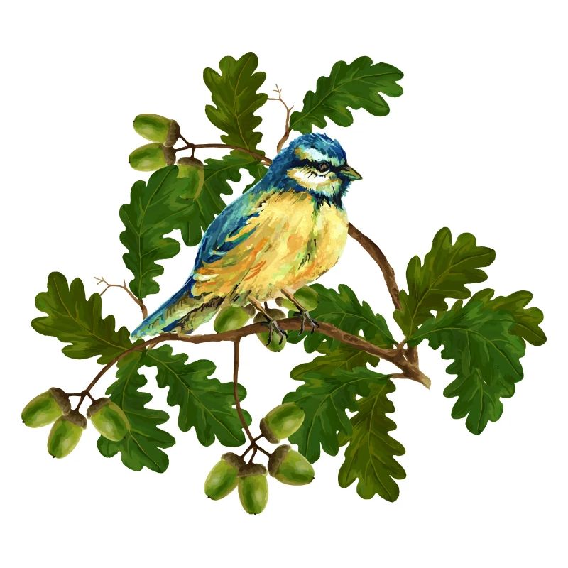 Tit bird