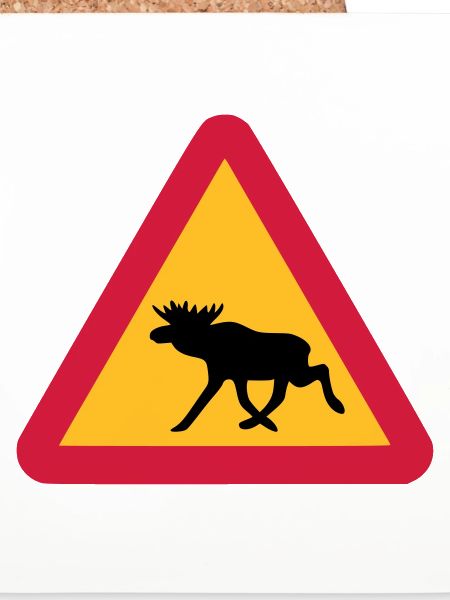 Moose