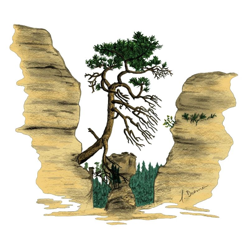 Montagnes de grès de l’Elbe