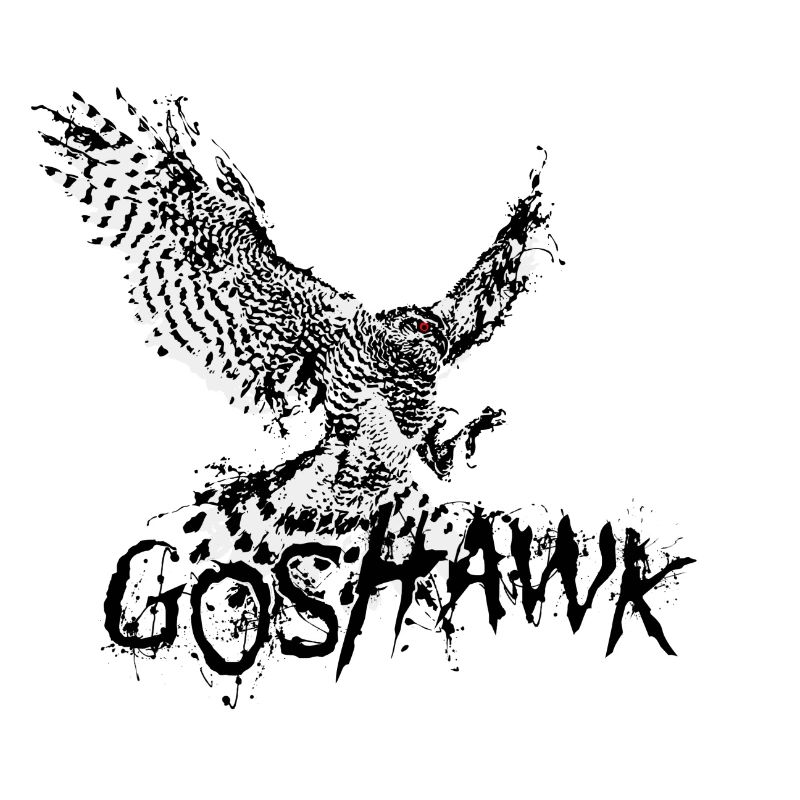 Habicht Greifvogel Goshawk