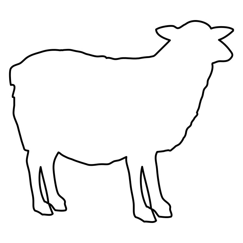 Schaf