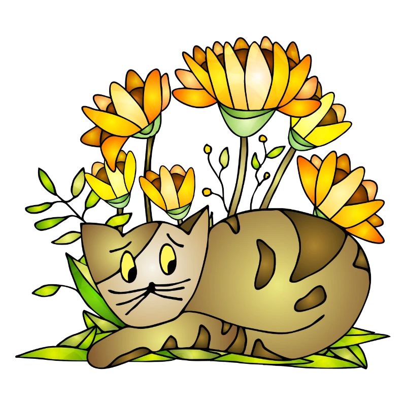 Chat