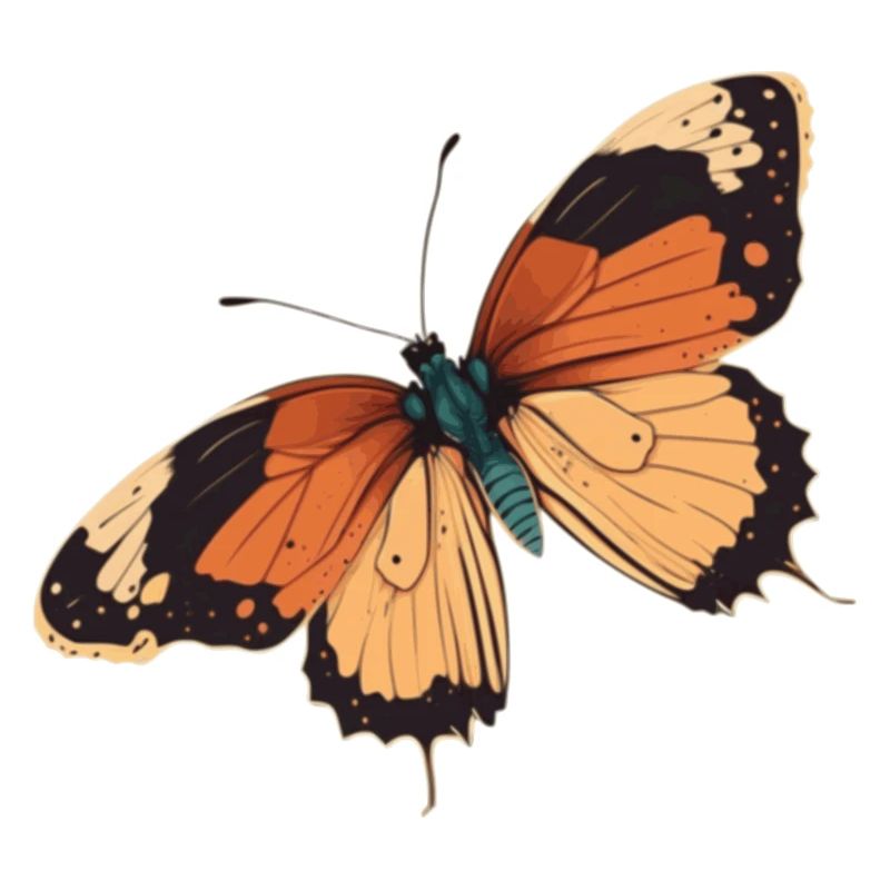 schmetterling schmetterlinge Geschenk