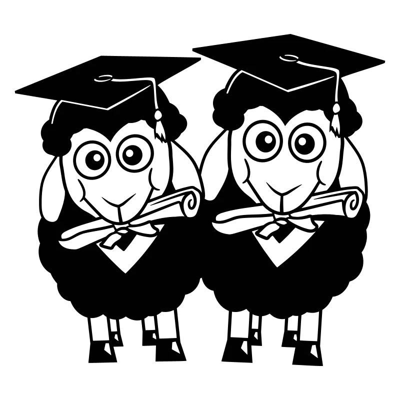 2 Sheep Certificate College Abi Two Students Team