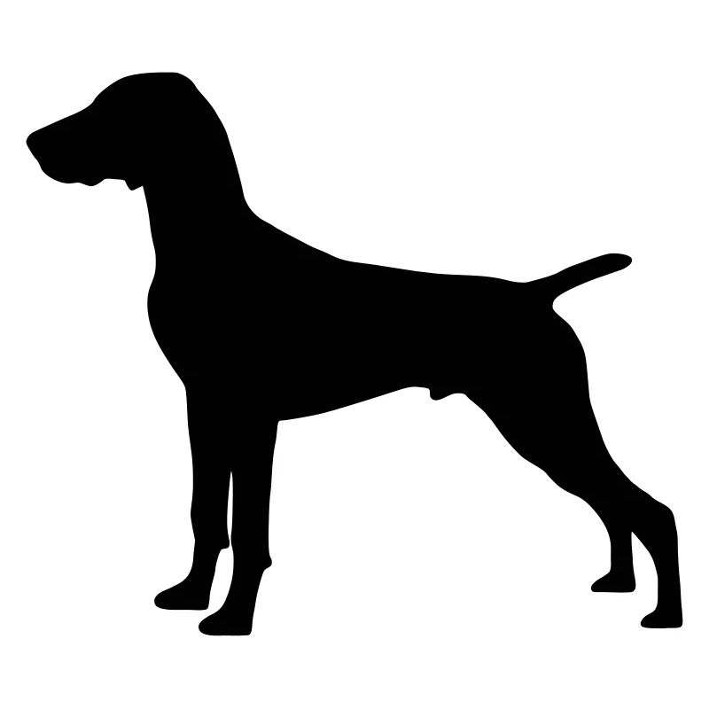 German Shorthaired Pointer