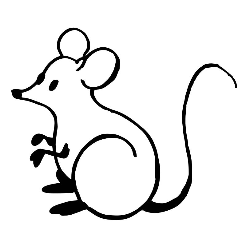 Mouse mouse