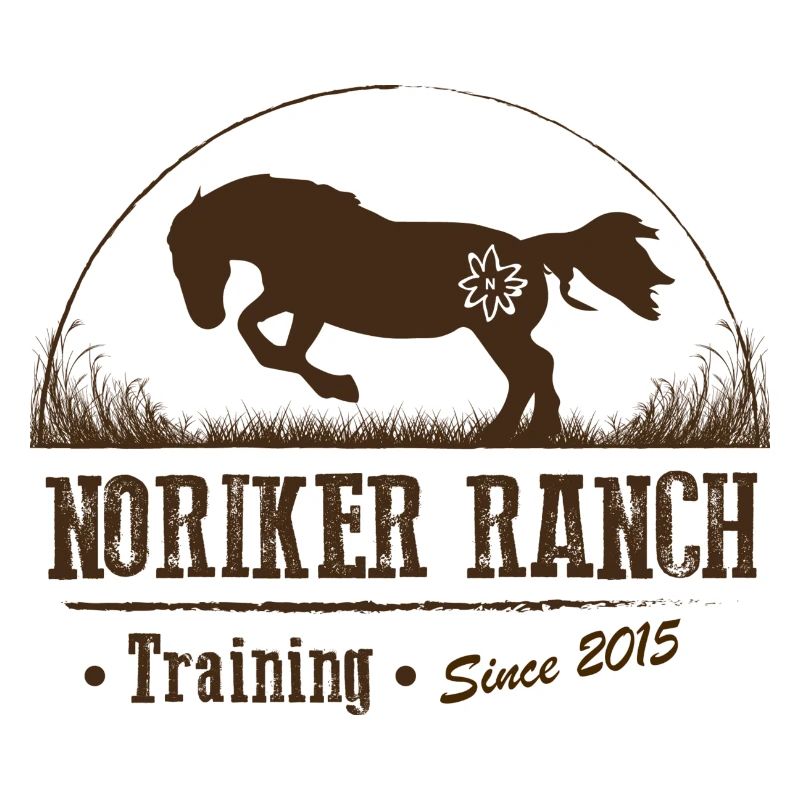 Noriker Ranch Training