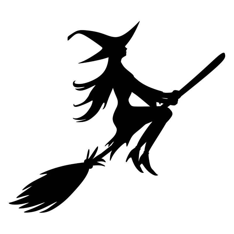 Witch on a broom Witch with a broom