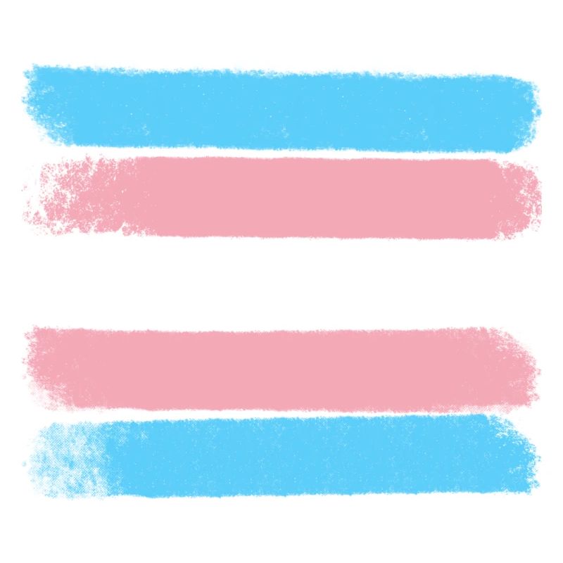 Trans Pride Strokes