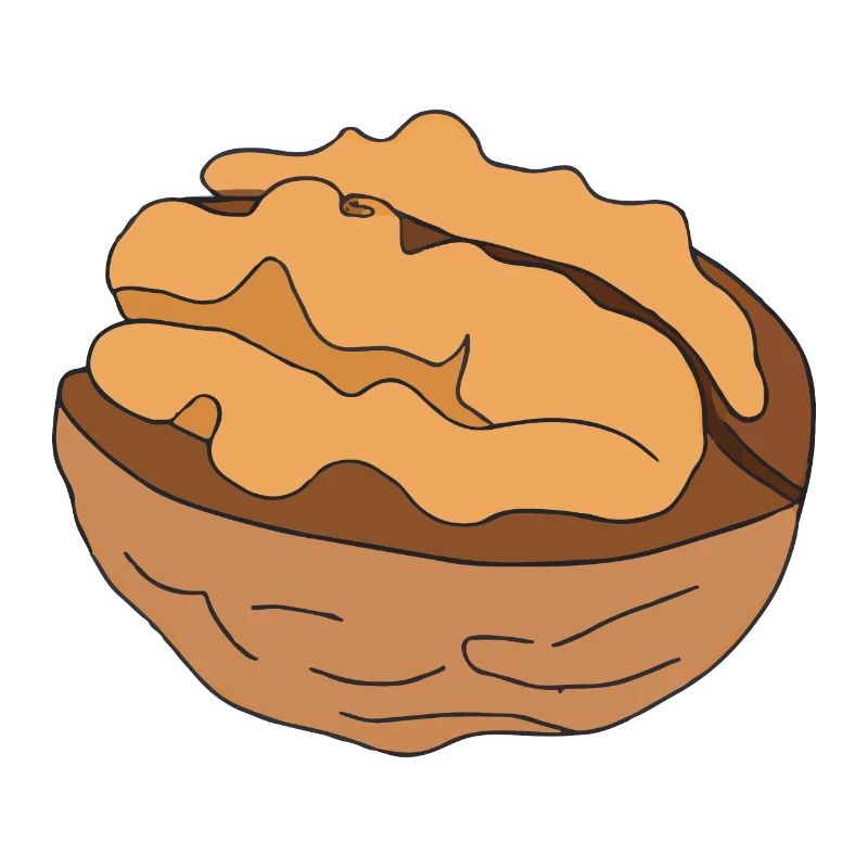 Walnut Illustration Gift Idea Nut Lovers